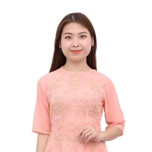 Bolero Rumba Để Đời Người Đi Ngoài Phố Sầu Tím Thiệp Hồng