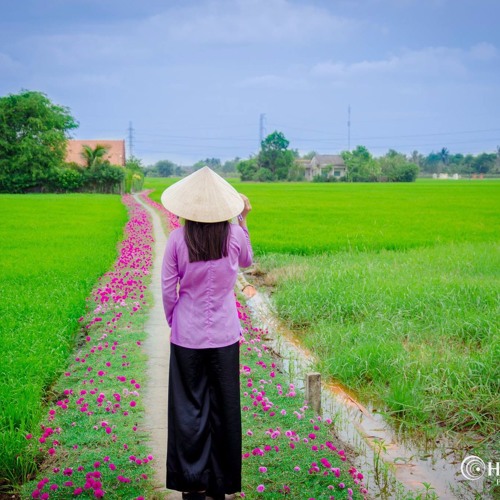 Nhạc Đỏ Cách Mạng Hào Hùng Hay Nhất Mọi Thời Đại
