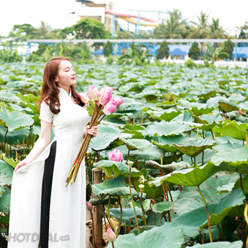 Nhạc Đỏ Nhạc Tiền Chiến - Nhạc Đỏ Trữ Tình Để Đời của NSND Thu Hiền