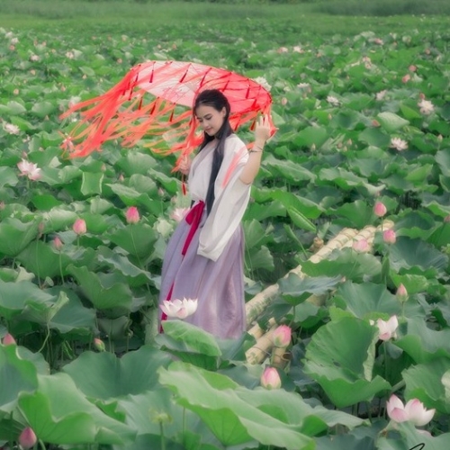 Nhạc Đỏ Cách Mạng Việt Nam Ngập Tràn Khí Thế Hào Hùng