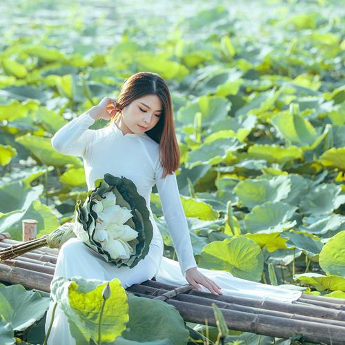 Liên Khúc Đất Nước Trọn Niềm Vui - Tuyển Tập Những Bài Hát Cách Mạng Hay