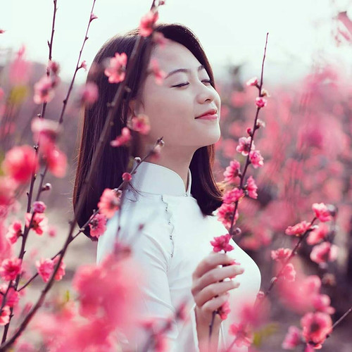 Nhạc Đỏ Tiền Chiến Rung Động Núi Rừng Nhạc Sống Vùng Núi Tây Bắc