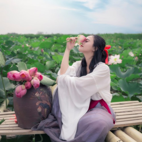 Nhạc Đỏ Cách Mạng Gây Chấn Động Lòng Người Nhạc Hào Hùng