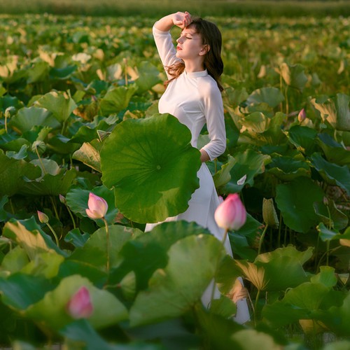Những Ca Khúc Nhạc Đỏ Cách Mạng Trữ Tình Gây Nghiện